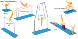 Components of Men's Artistic Gymnastics - ActiveSG